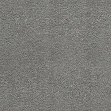 فوجی طوسی تیره